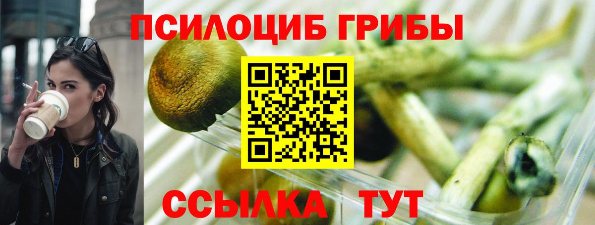 Домодедово  Галлюциногенные грибы Cubensis  Вход с VPN  Псилоцибиновые грибы Magic Shrooms 